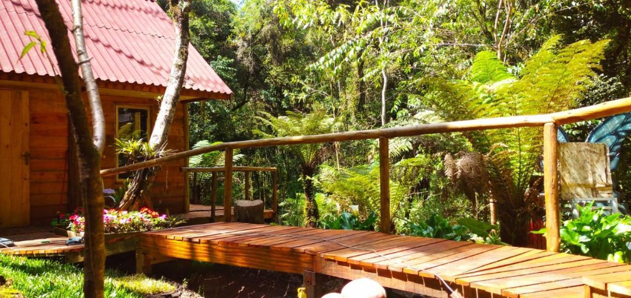 Chale Samambaia Villa Campos do Jordão Exterior photo